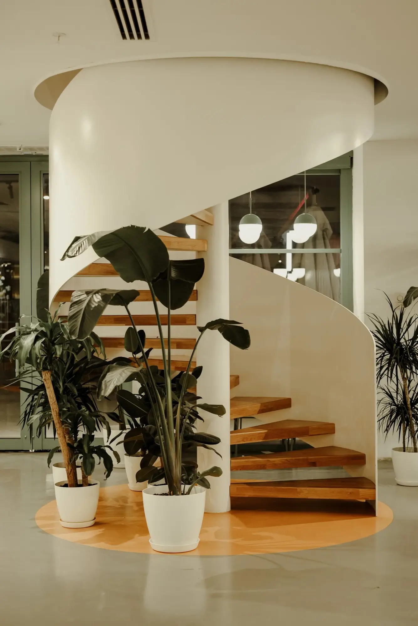 Sculptural spiral staircase with timber treads rising around a curved white wall